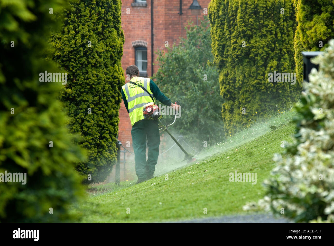 Council gardener using strimmer in public park Stock Photo