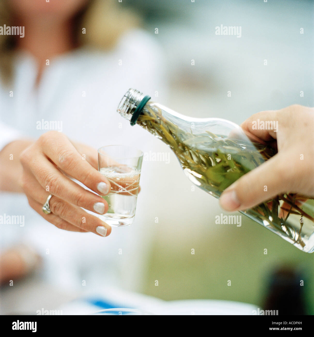 Pouring up liquor in a glass midsummer in Sweden close-up . Stock Photo