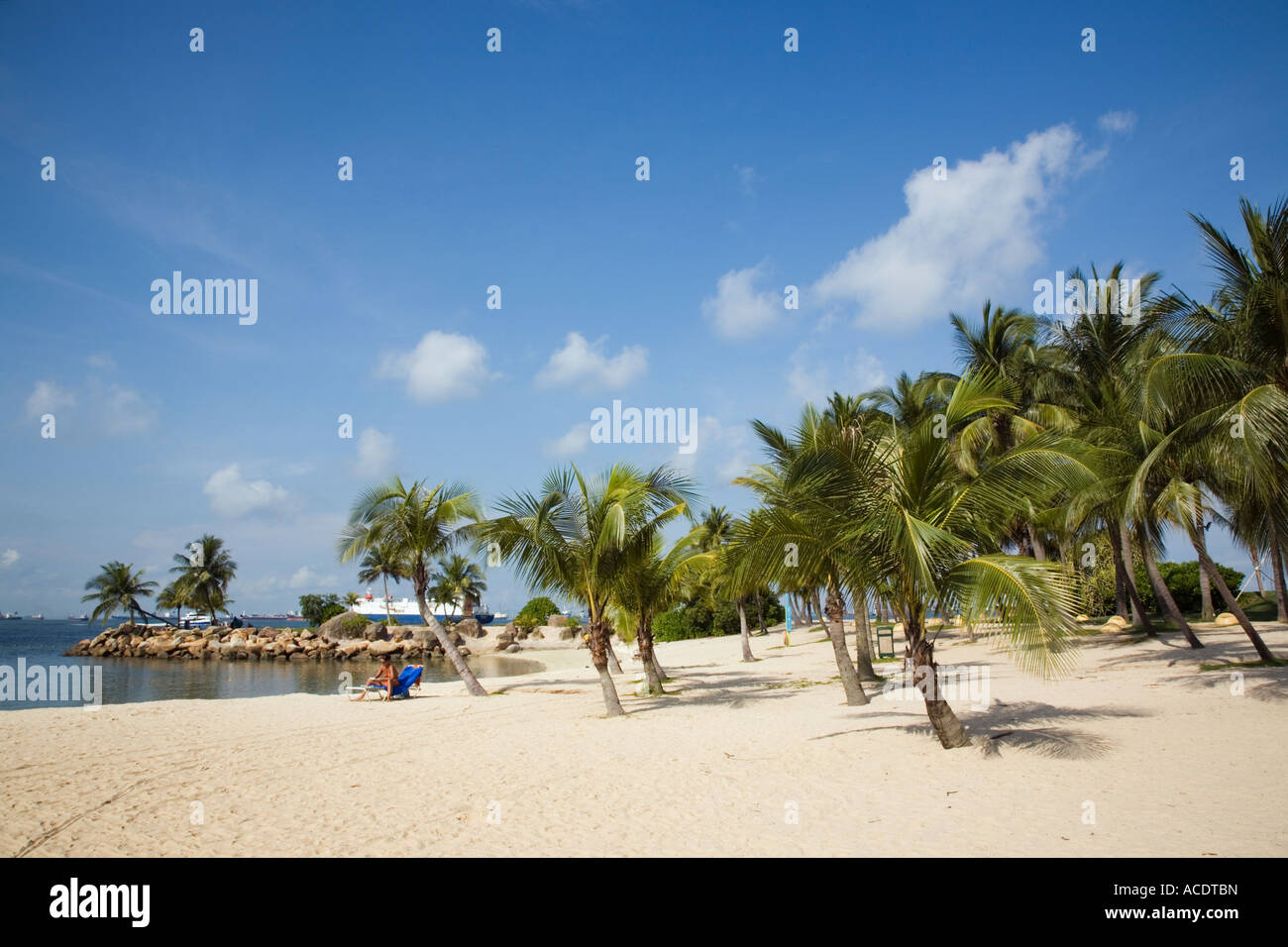Tropical Siloso beach man made reclaimed land coconut palm trees