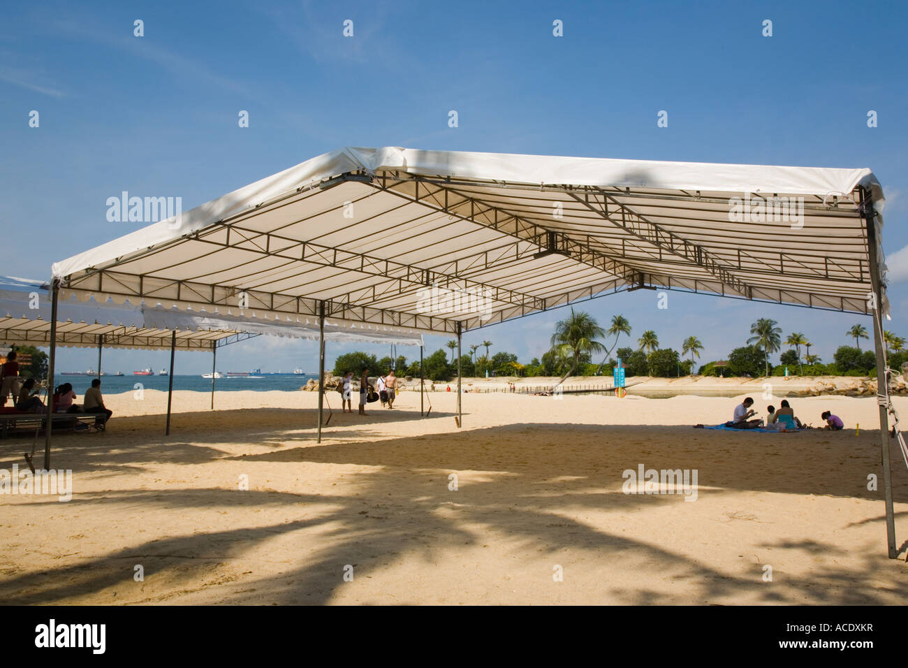 Beach sun canopy and Palm tree providing shade for visitors on tropical Siloso beach with blue sky Sentosa Island Singapore Stock Photo