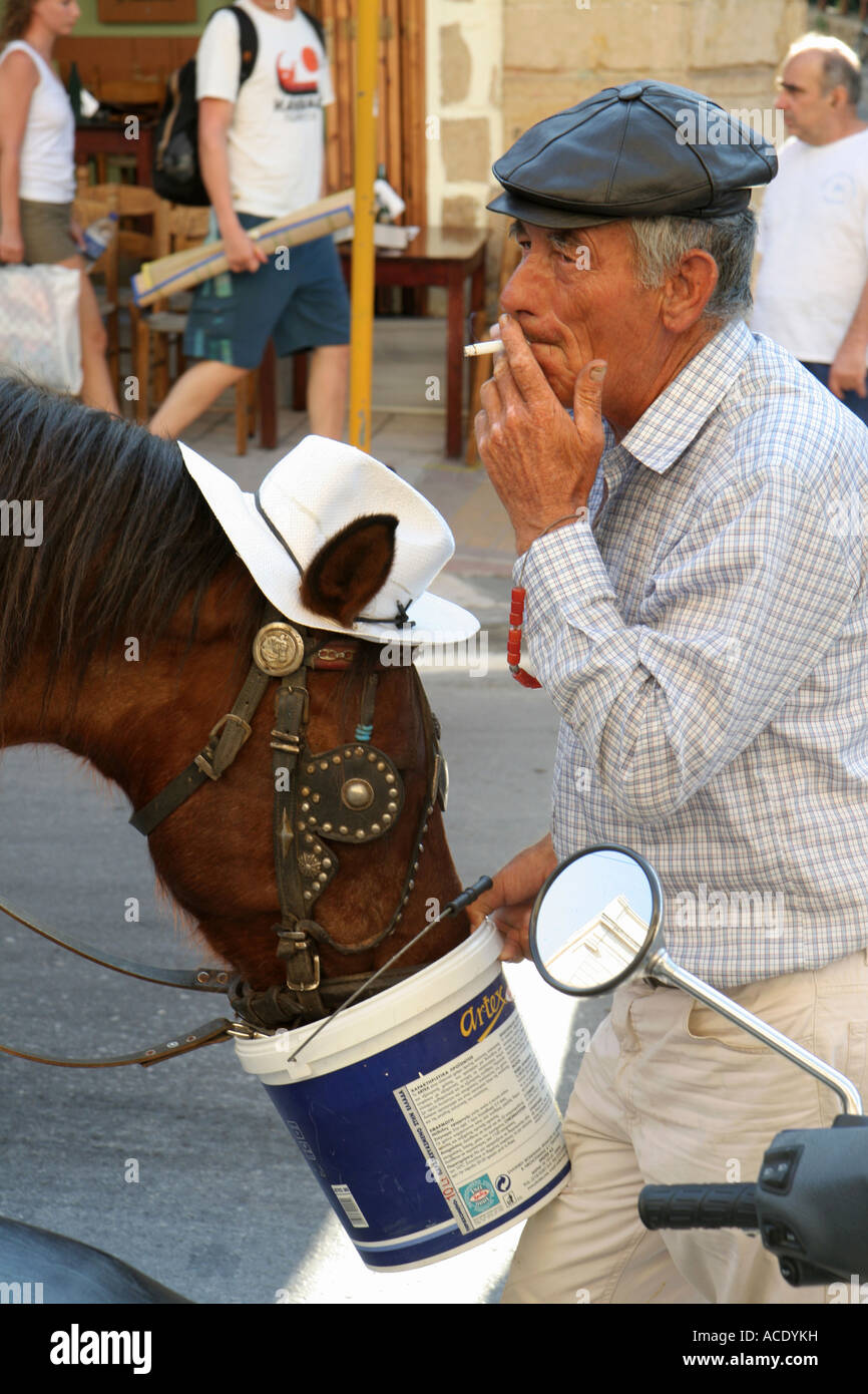 Brown horse with a white hat, his owner smoking while feeding the horse, Chania, Crete, Greece. The horse drives around tourists Stock Photo