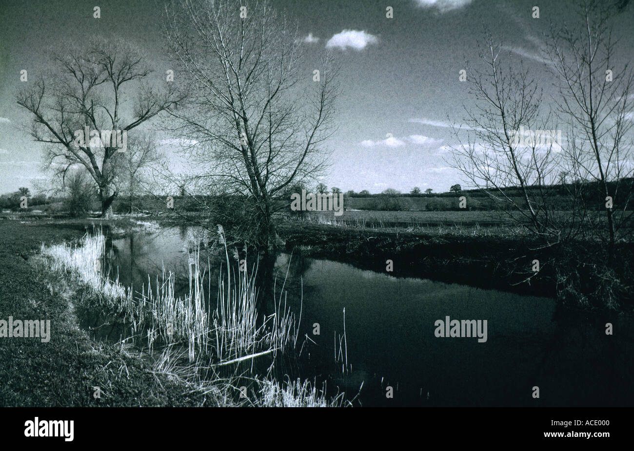 River Cherwell Oxfordshire England Stock Photo Alamy