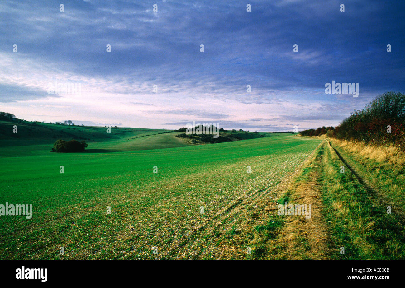 Farm land Oxfordshire England Stock Photo Alamy