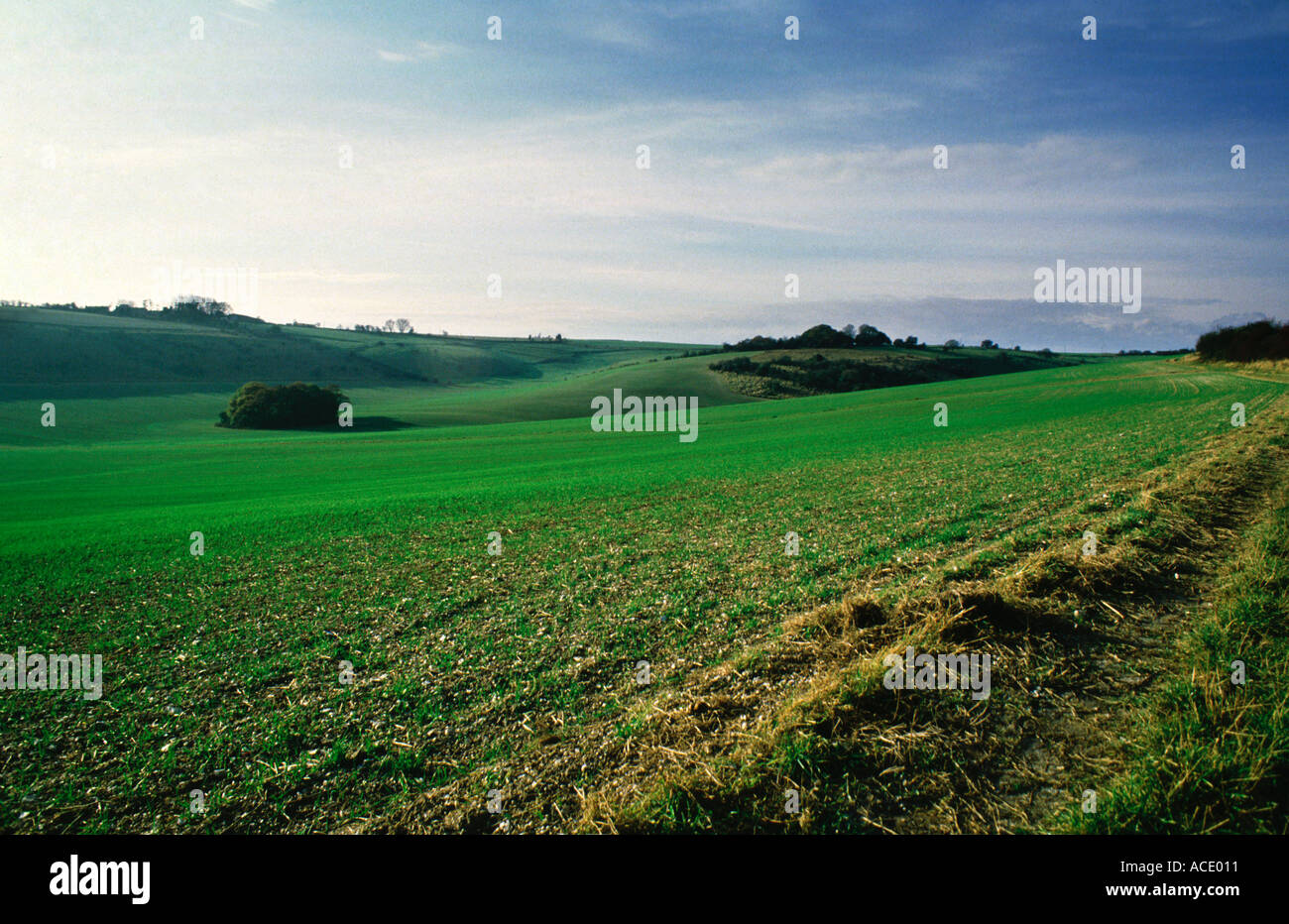 Farm land Oxfordshire England Stock Photo Alamy