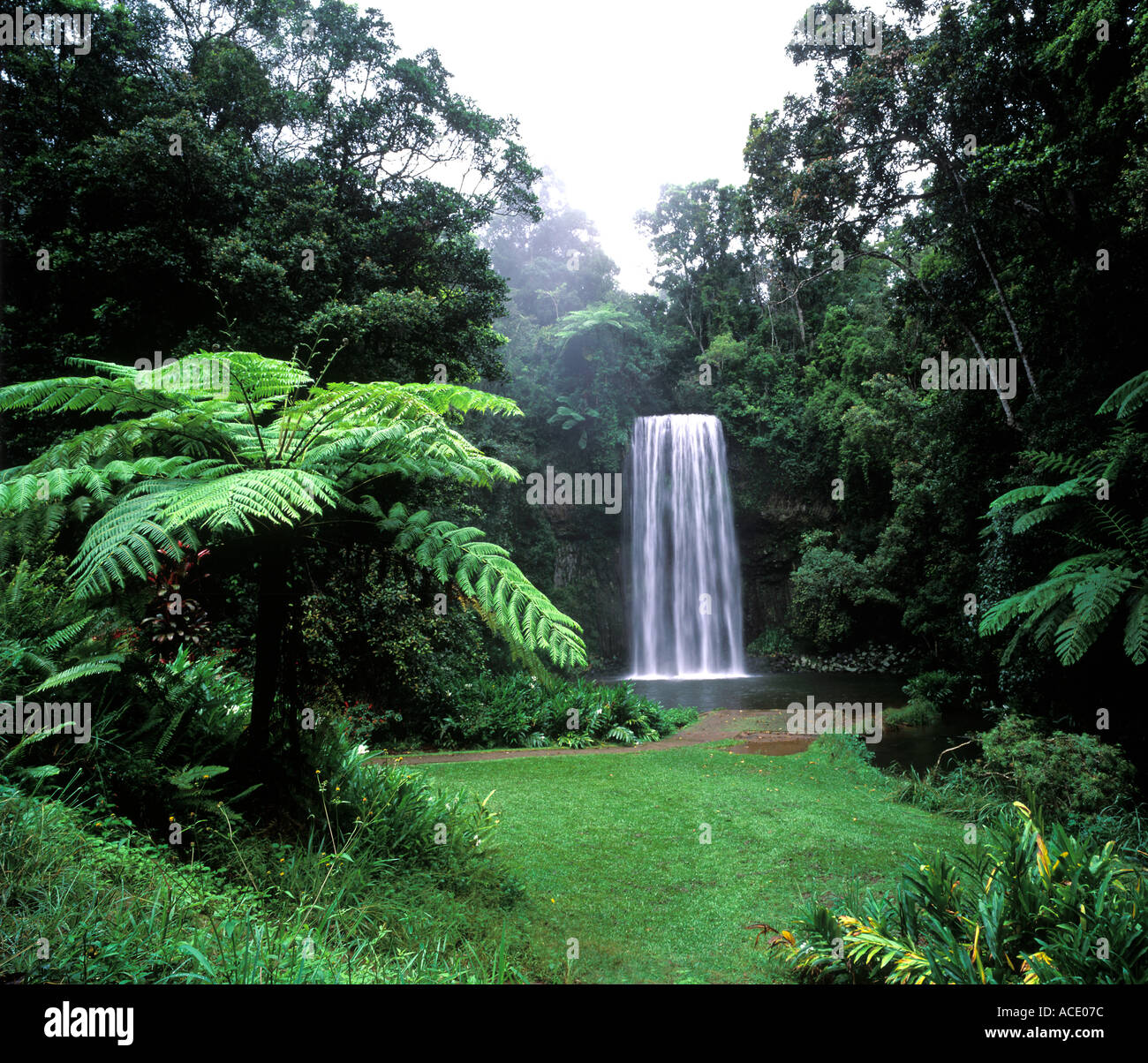 Millaa Millaa Falls in Queensland Australia Stock Photo Alamy