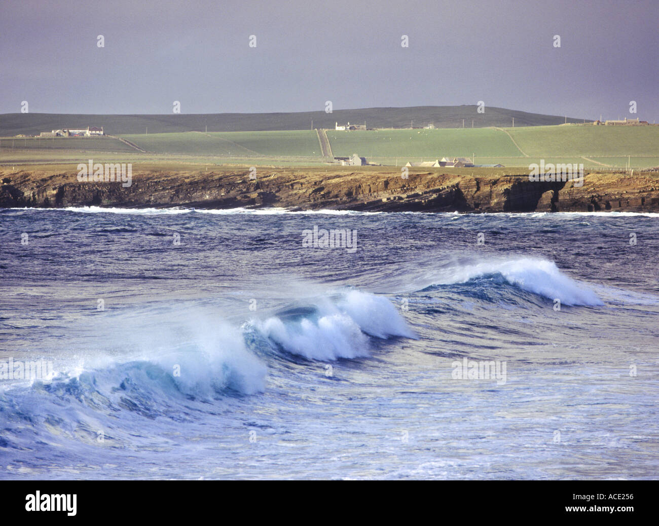 dh Bay of Skaill SANDWICK ORKNEY Surf waves big wave coast Stock Photo