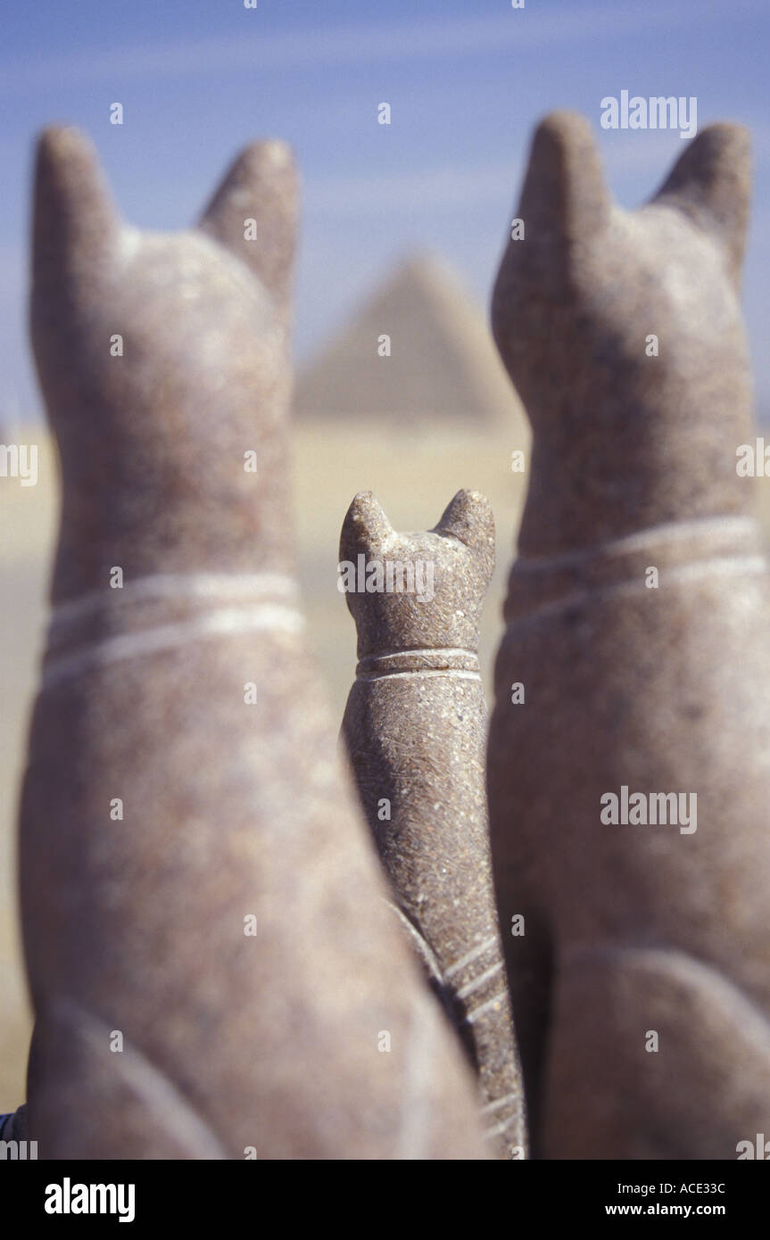 Cats Giza Egypt Stock Photo Alamy