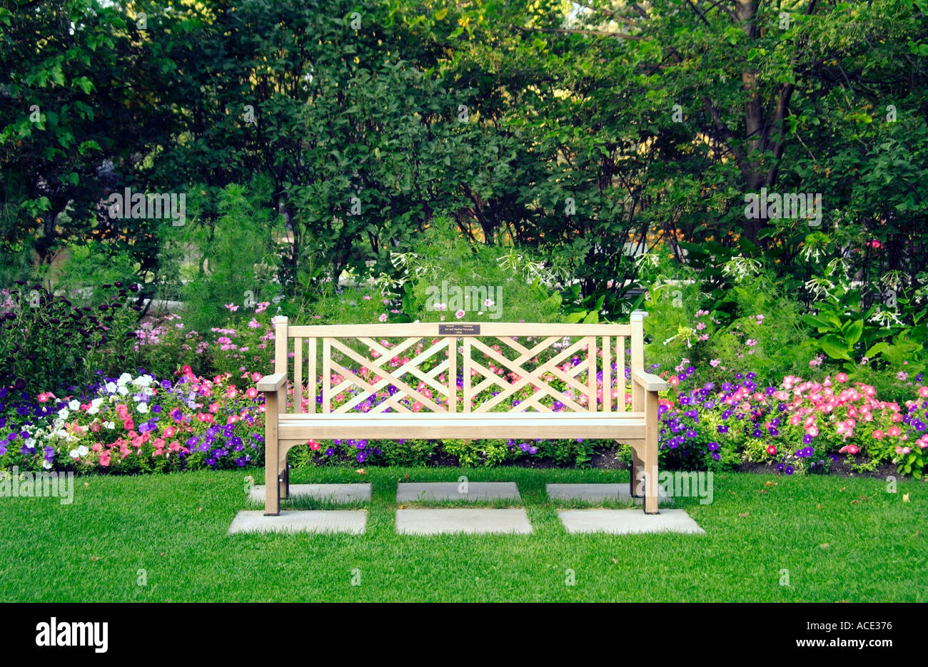 Calm And Reflective Views Of A Park Bench In The English Gardens