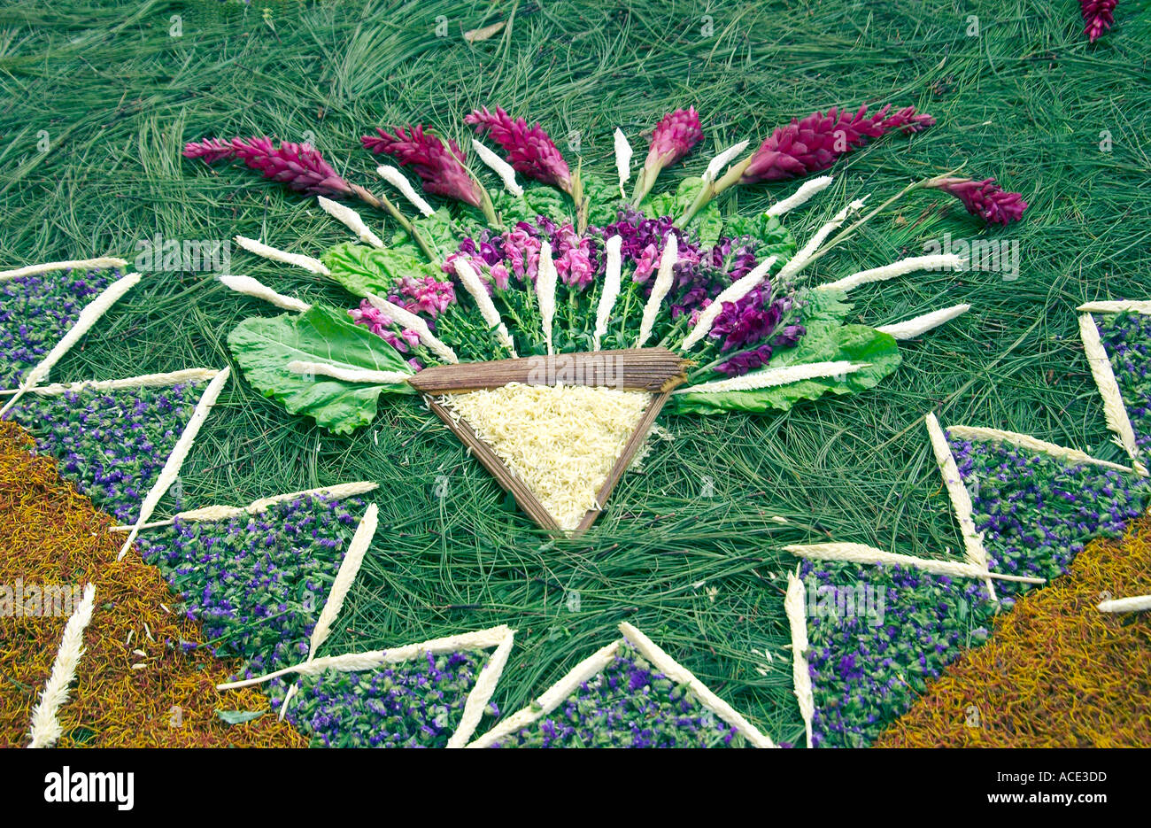 A closeup view of a street carpet during Holy week in Antigua Guatemala ...