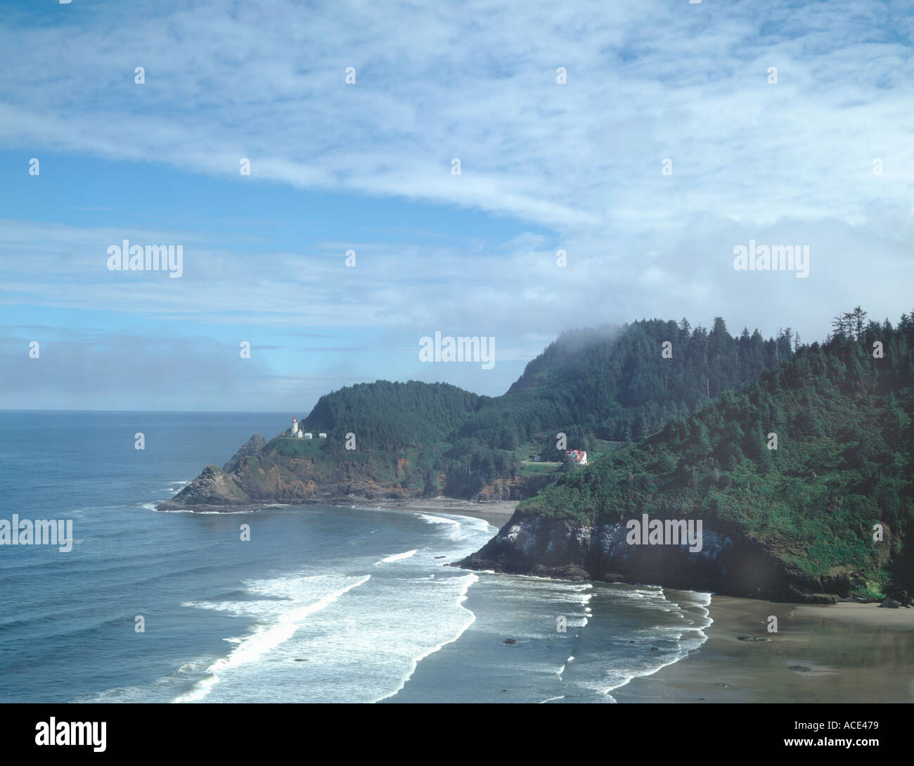 View of Image result for what is cloud based ai
