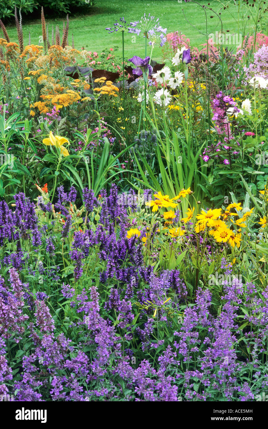 July Garden Border, all colours, perennials, plants, flowers, Astilbe