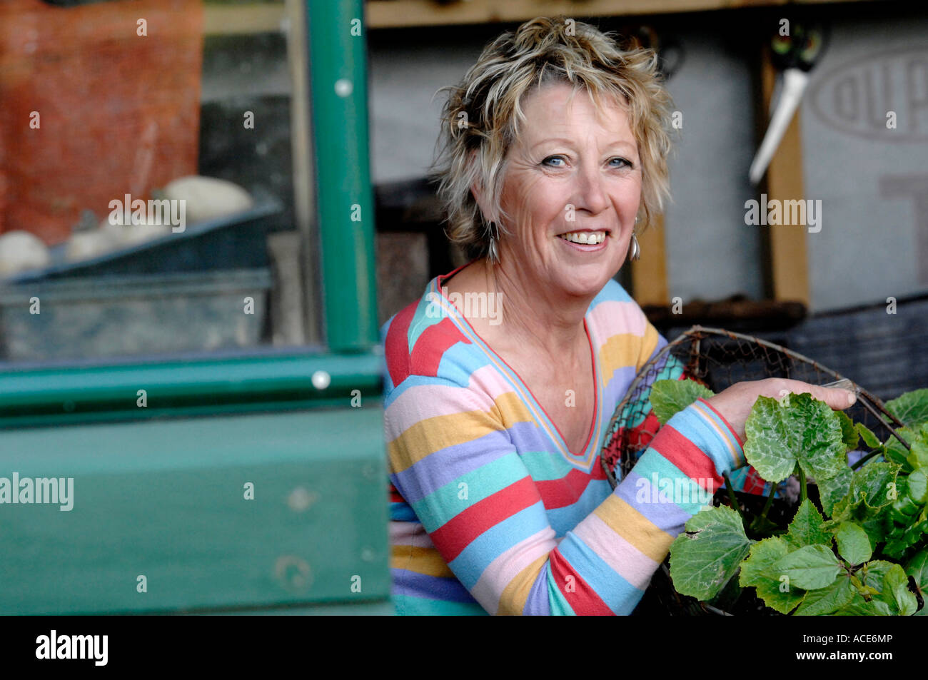 TV gardener Carol Klein relaxing in garden at home in Devon Stock Photo