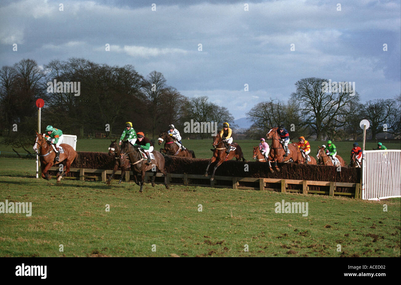 Point To Pass Racing Point to point racehorses Stock Photo - Alamy