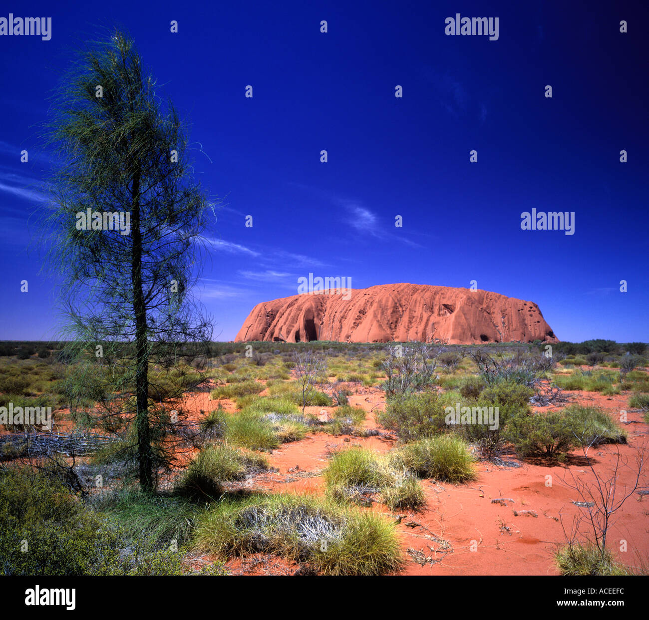 Uluru or Ayers Rock Northern Territory Australia Stock Photo