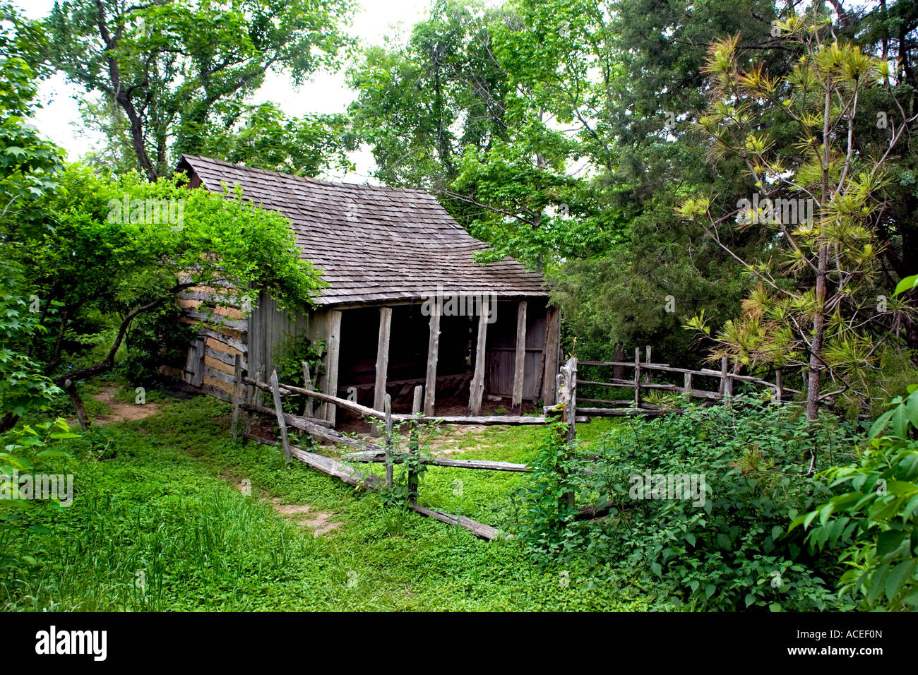 Cabin pioneer in thick tree forest hillbilly home in Texas Stock Photo ...