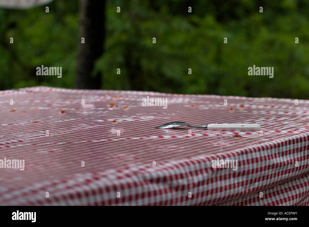 Rain on picnic table Stock Photo Alamy