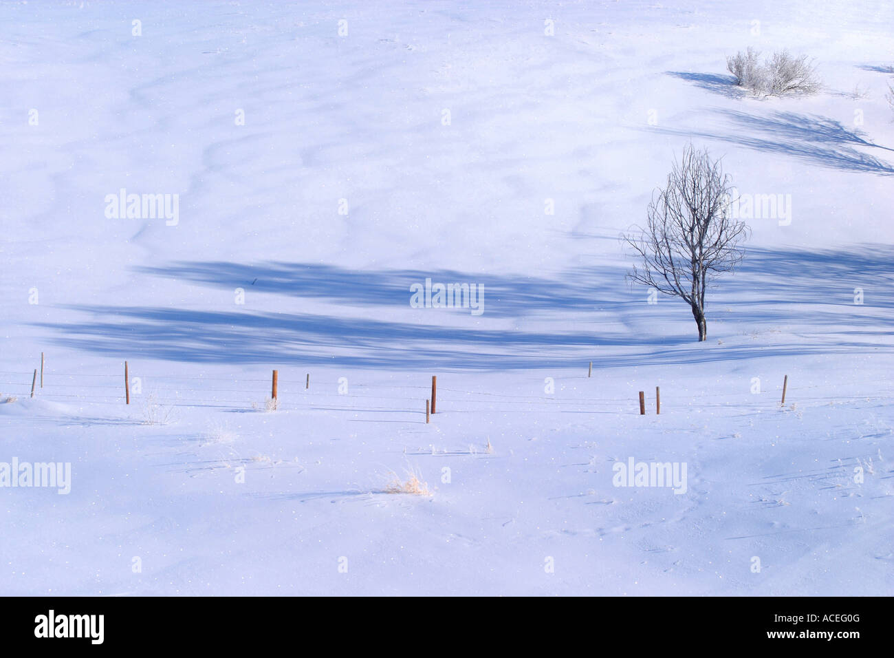 Winter Terminator Line Winter fence line Stock Photo - Alamy