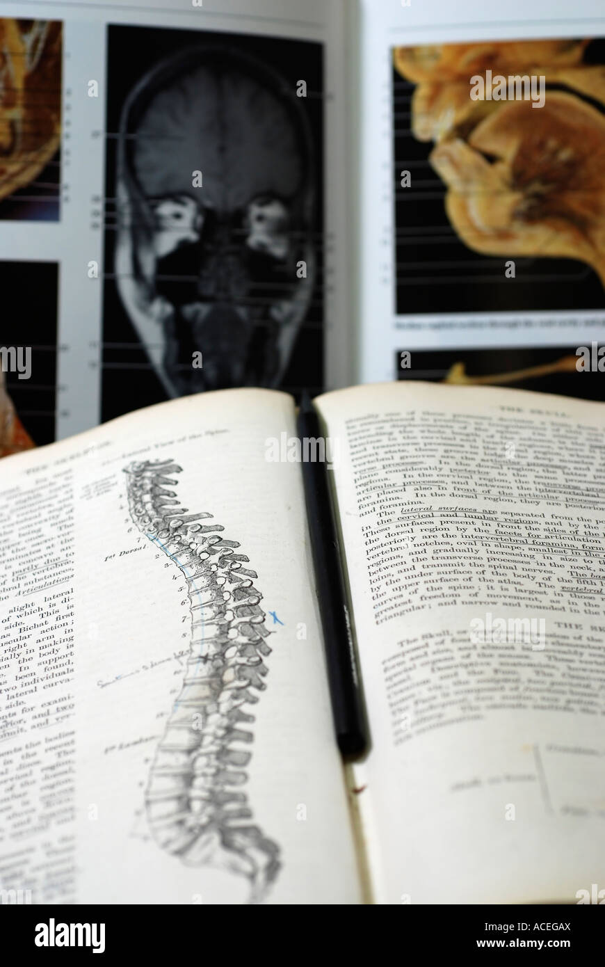 An open Anatomy text book Stock Photo
