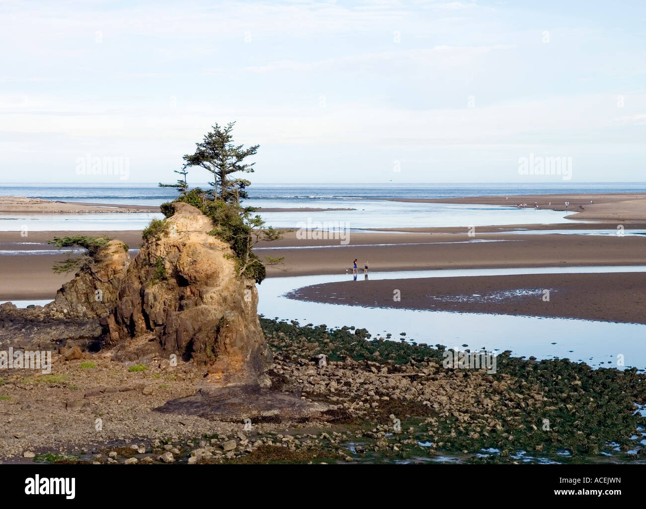 Siletz Bay Condos