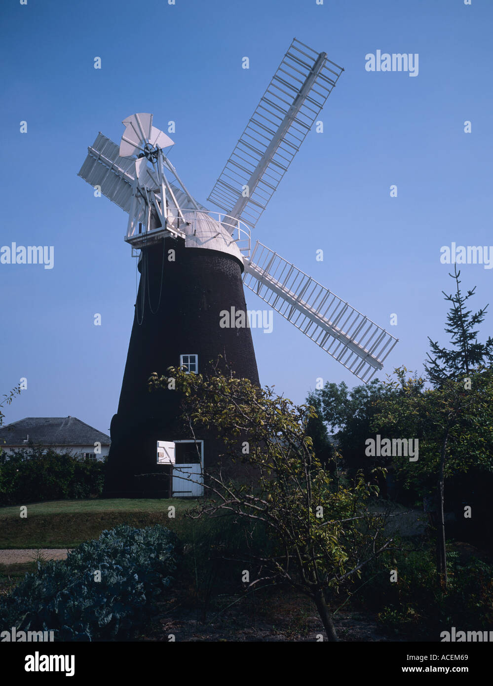 Restored tower mill Produces stoneground flour at Swaffham Prior Cambs Stock Photo