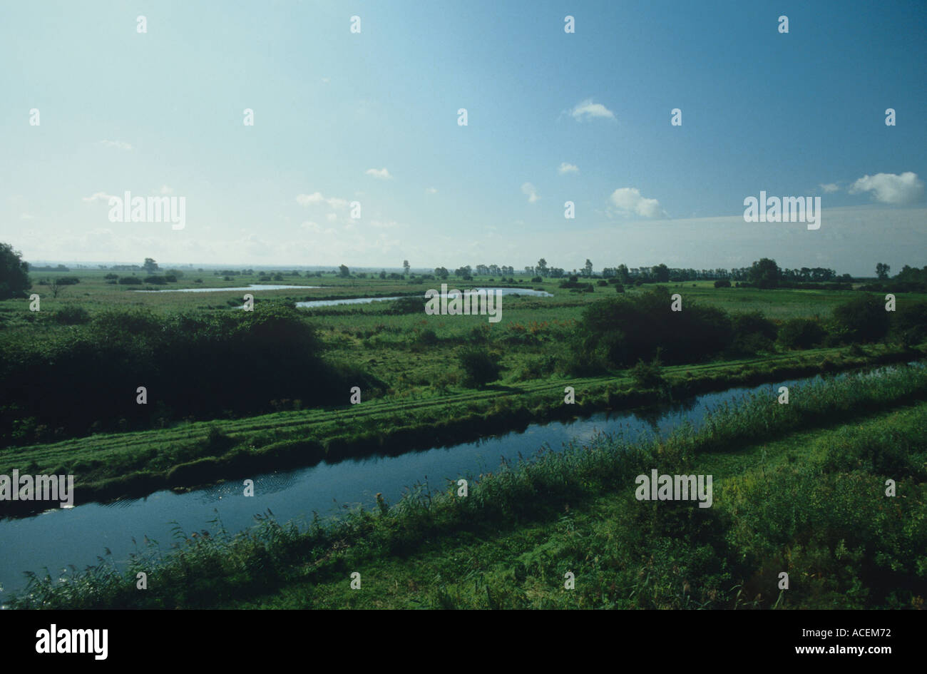 Wicken Fen Nature reserve One of the last remaining areas of undrained Fen landscapes in east Anglia Cambs Stock Photo