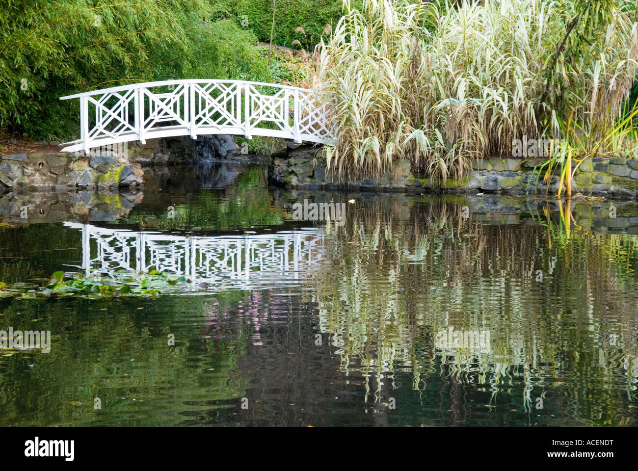 An arched wooden bridge over a water feature in the Tasmanian Botanical Gardens Stock Photo
