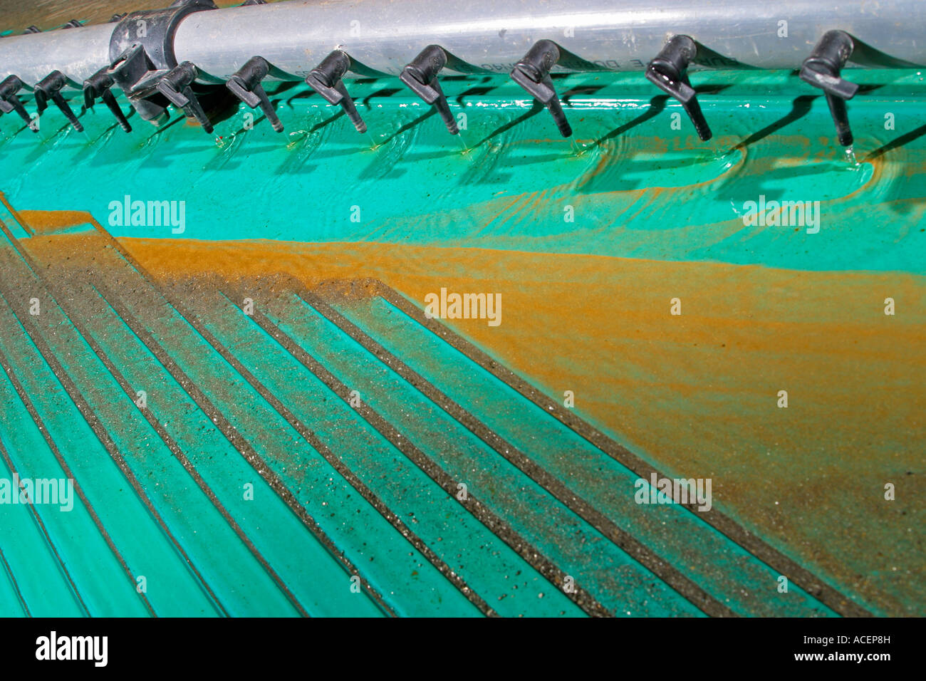Cleaning gravity concentrate showing separation of gold metal in close up using Gemini vibrating table, Ghana, West Africa Stock Photo