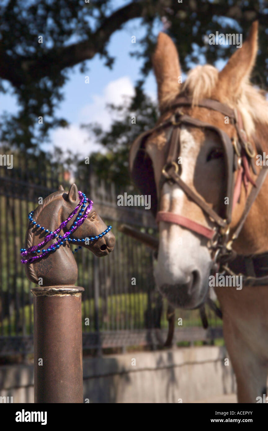 A carriage horse awaits tourists in New Orleans, next to a horse-shaped bridle-post covered with Mardi Gras beads. Stock Photo