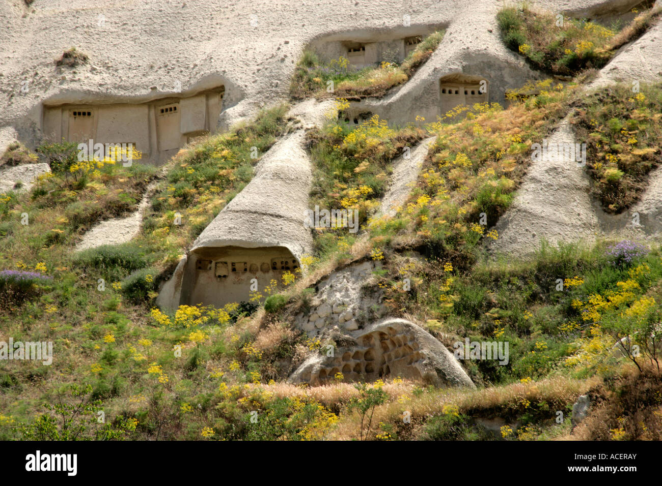 Traditional pigeon coops in Cappadocia, Turkey Stock Photo Alamy