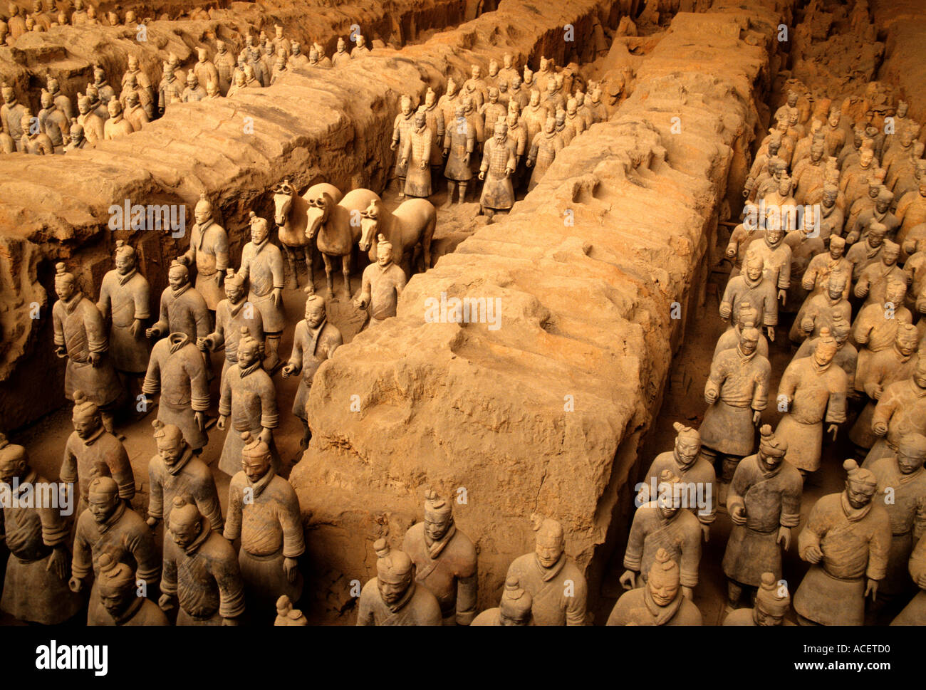 Xi an Shaanxi China Terra cotta soldiers and horses in Pit 1 of excavations of Emperor Qin Shi Huang tomb Qin Shi Huangdi Museum Stock Photo