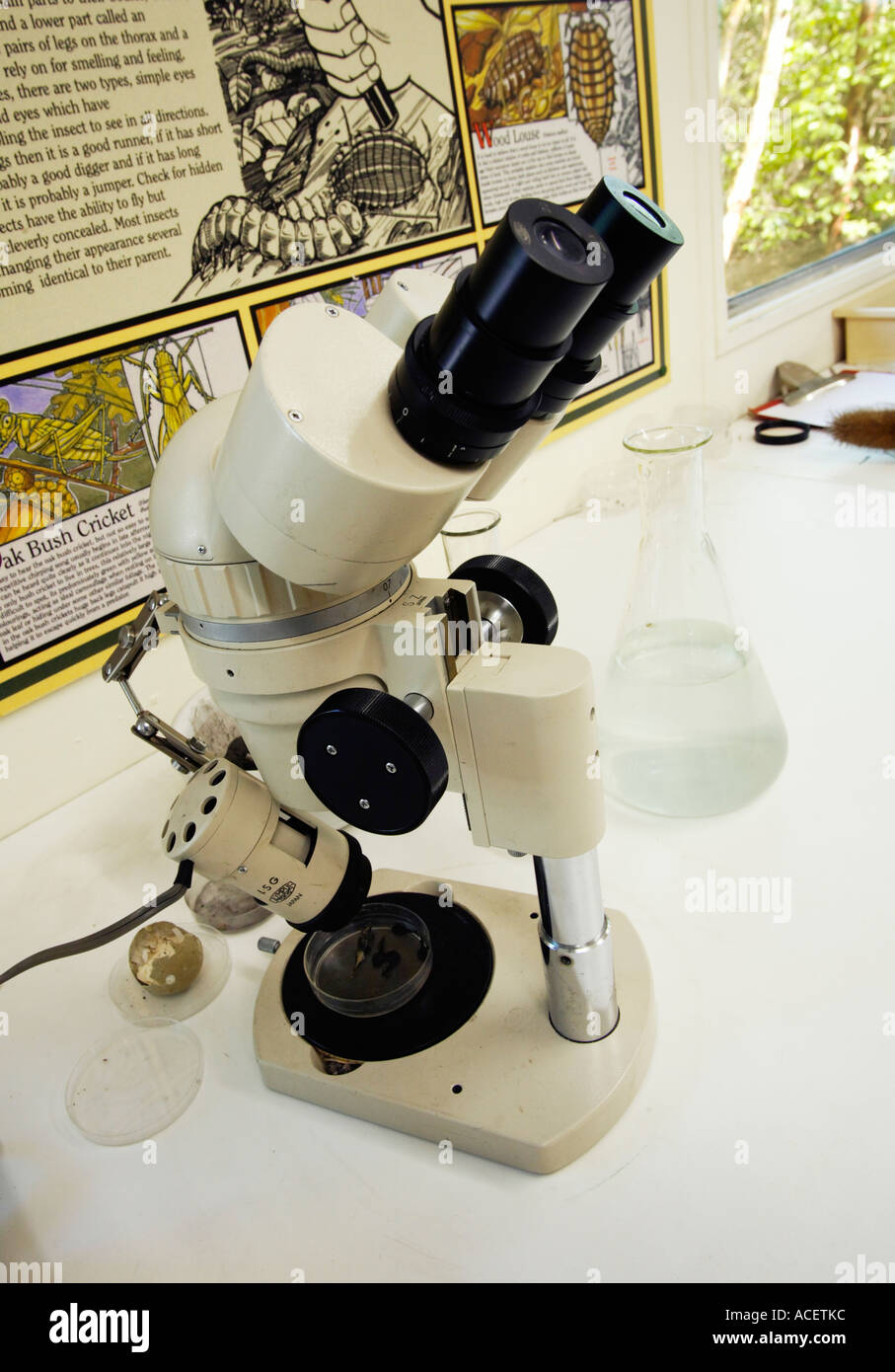 Microscope and in a nature laboratory Stock Photo