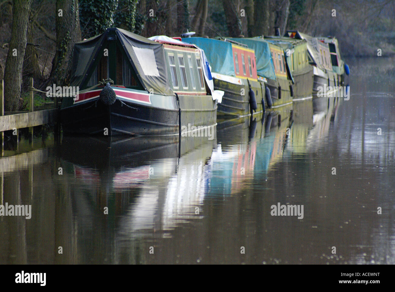 Canal Boats at Boathouse in Godalming, Surrey, England UK Stock Photo Alamy