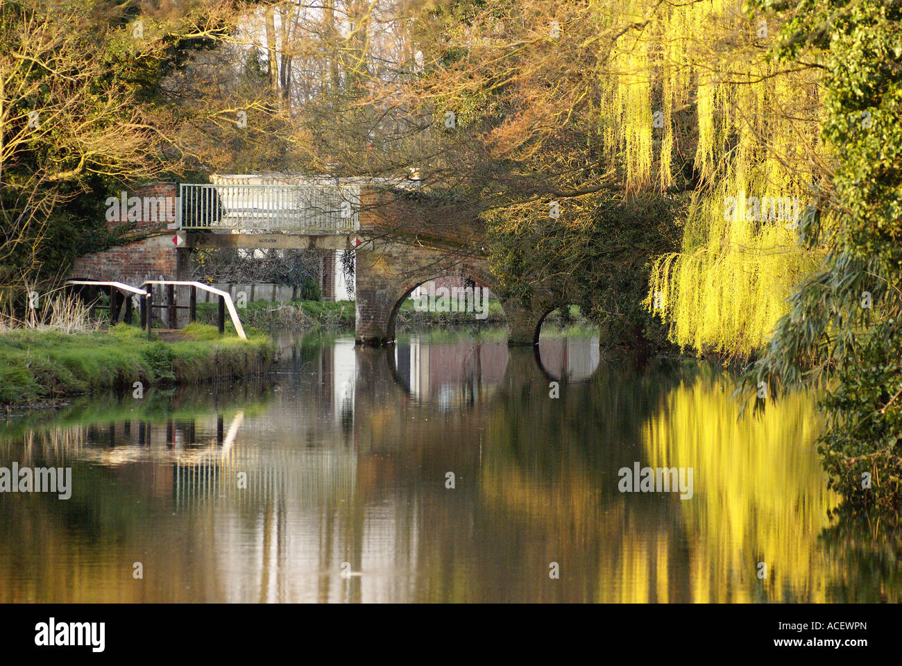 River Wey Bridge near Boathouse, Godalming, Surrey, England UK Stock Photo Alamy