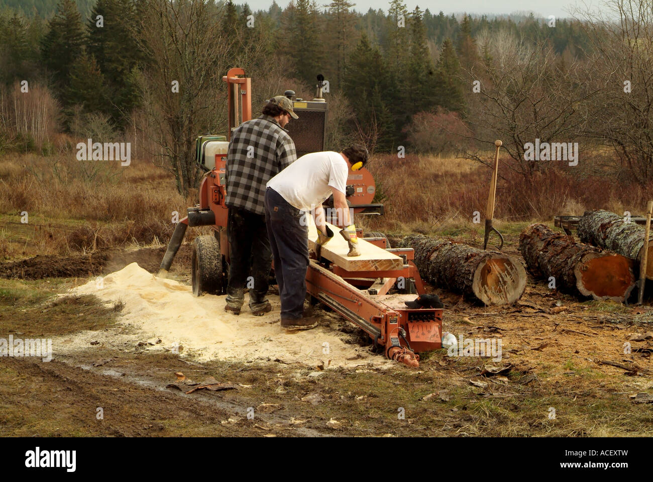 men planing lumber Stock Photo Alamy