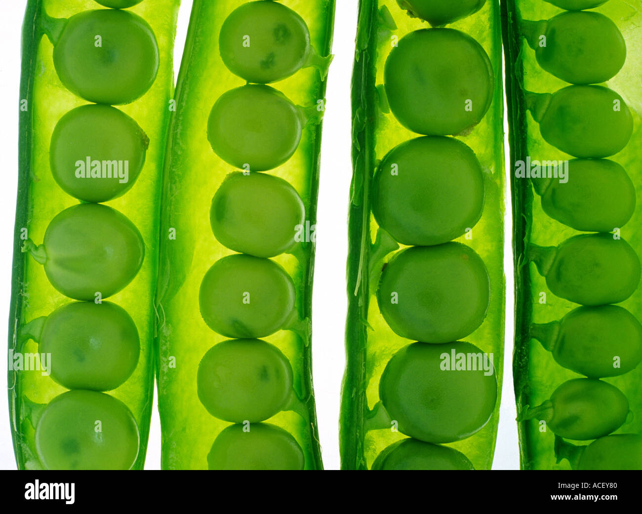 Pea Pod Inner Side pods hi-res stock photography and images - Alamy