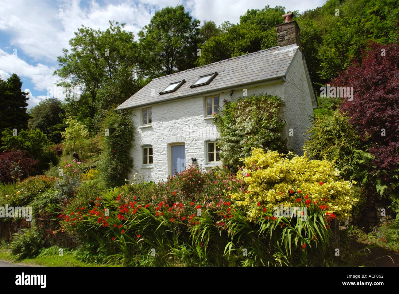 Picturesque remote detached white washed country cottage in the Brecon Beacons National Park Powys South Wales UK Stock Photo