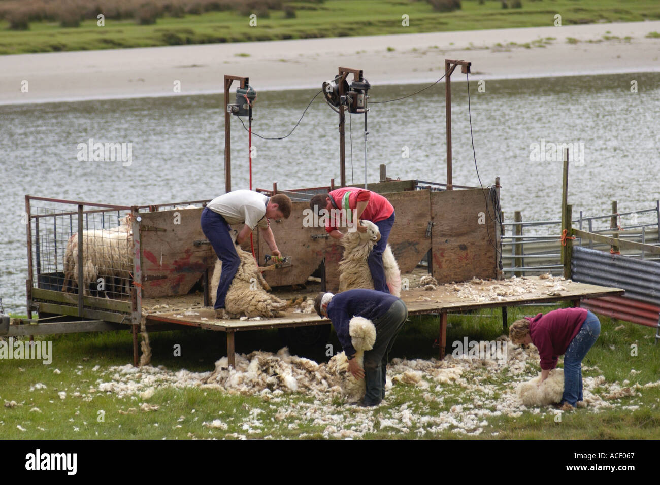 Mobile sheep shearing unit hi-res stock photography and images - Alamy