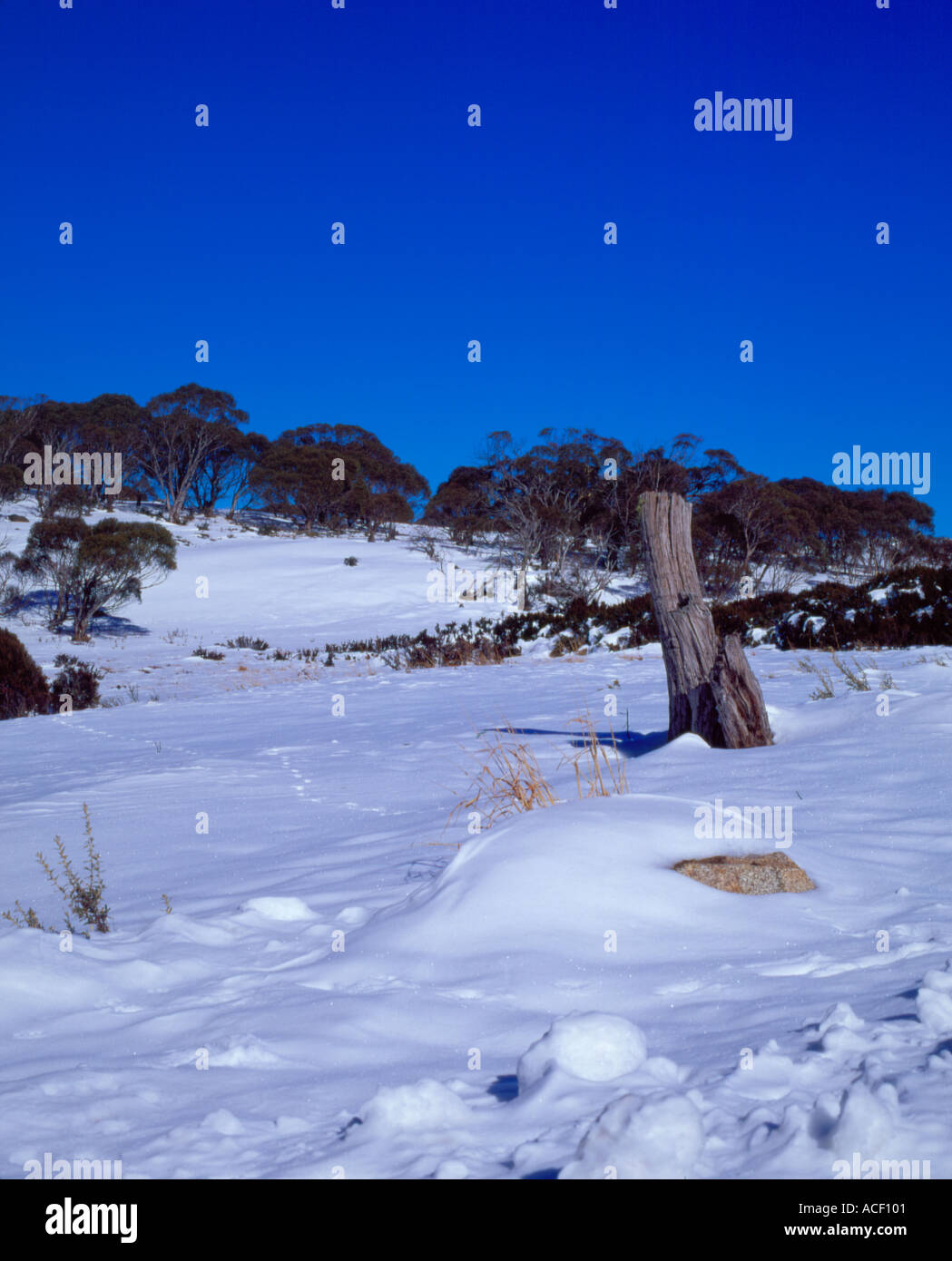 North Perisher Snowy Mountains NSW Australia Stock Photo Alamy