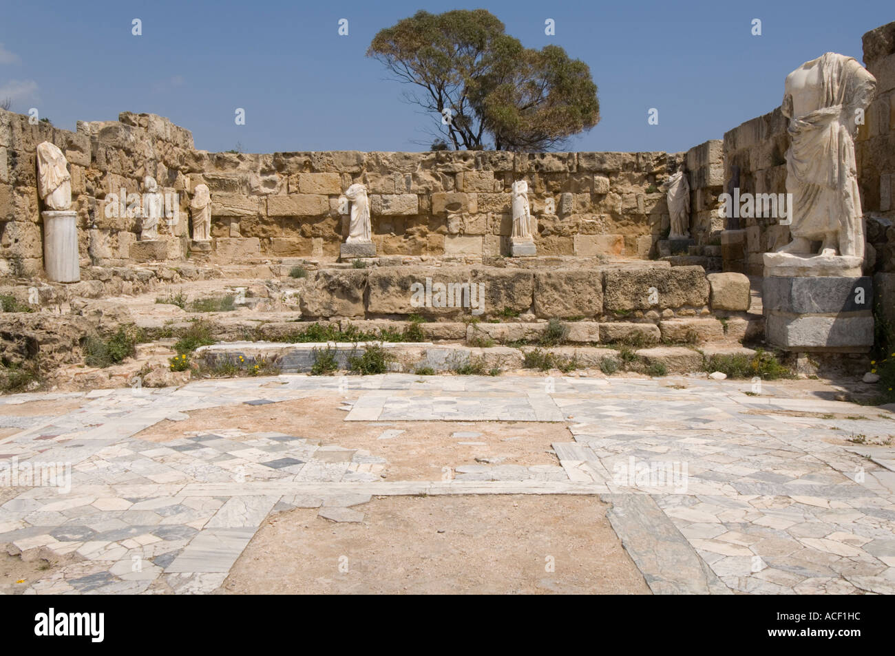 Roman tree mosaic hi-res stock photography and images - Alamy