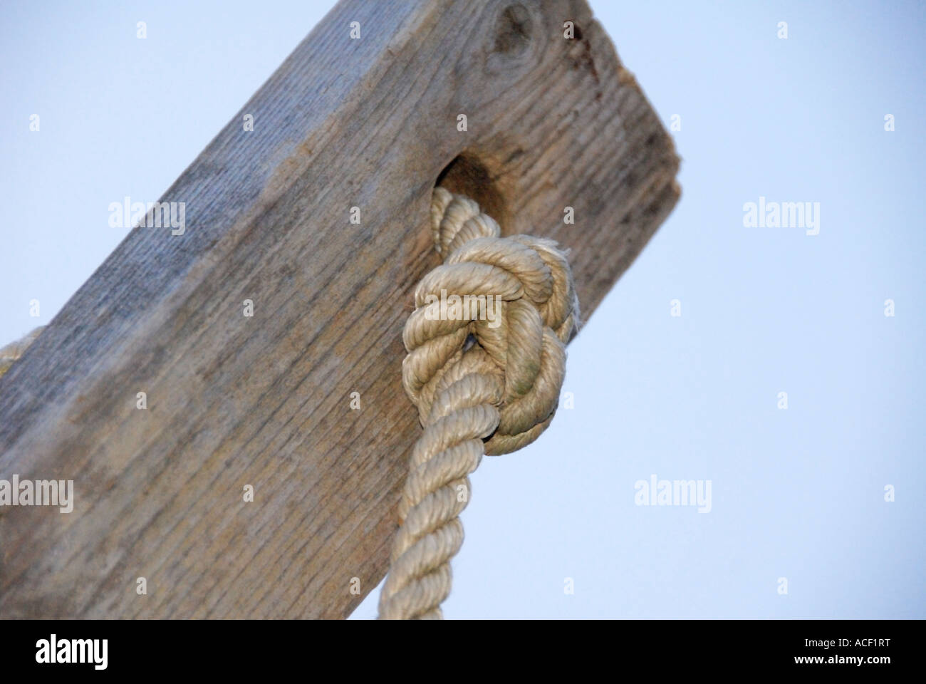 Knot Through Wood Stock Photo Alamy