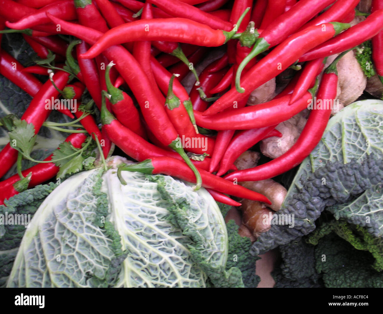 Borough market chillies hi-res stock photography and images - Alamy