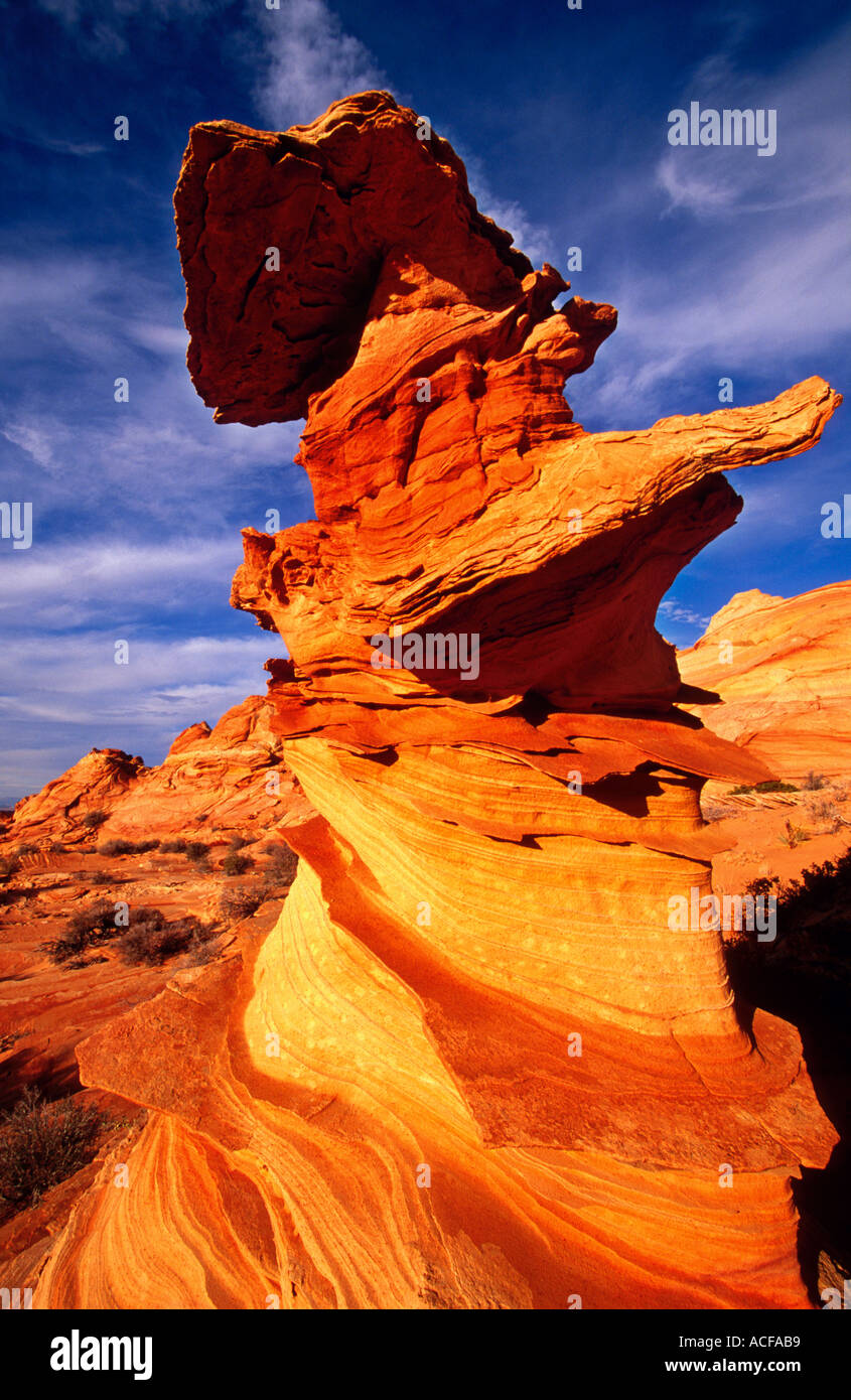The Totem Pole in Coyote Butte south Vermillion cliffs wilderness Arizona USA eye35.com Stock Photo