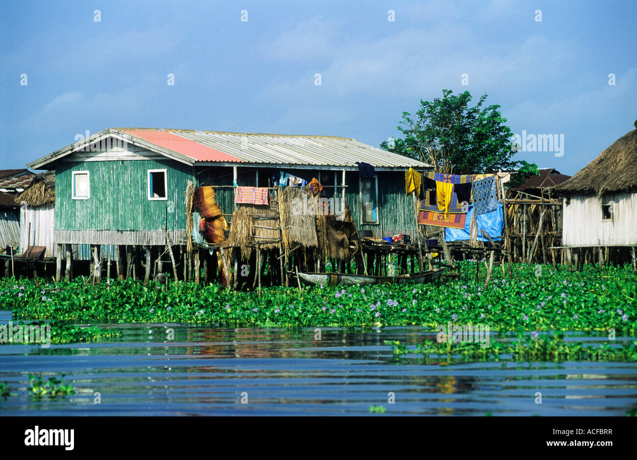 Houses on stilts amongst aquatic vegetation Ganvie; Benin Stock Photo