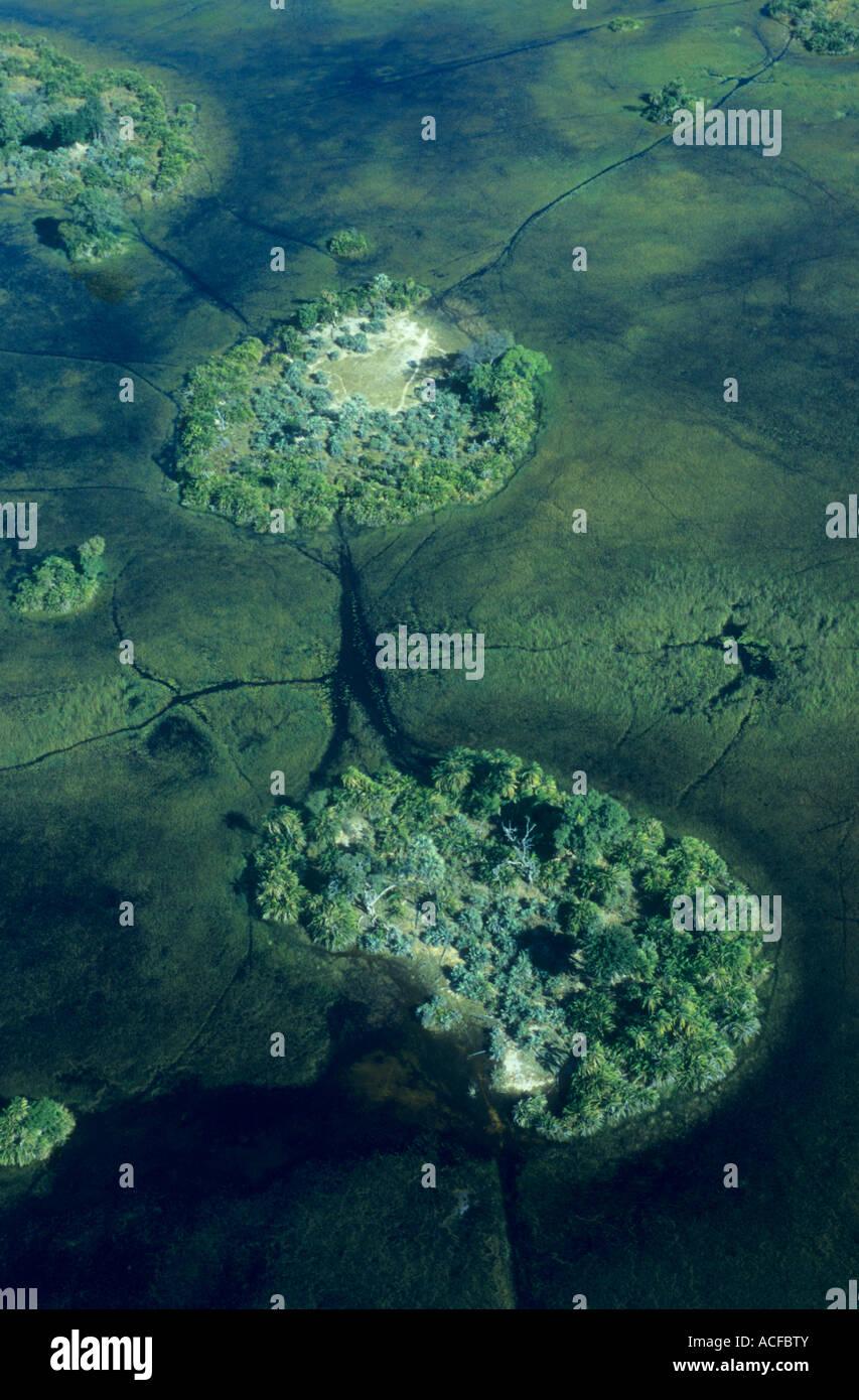 Aerial view of Okavango Delta with vegetated islands scattered in an inundated area at high-water Okavango Delta; Botswana Stock Photo