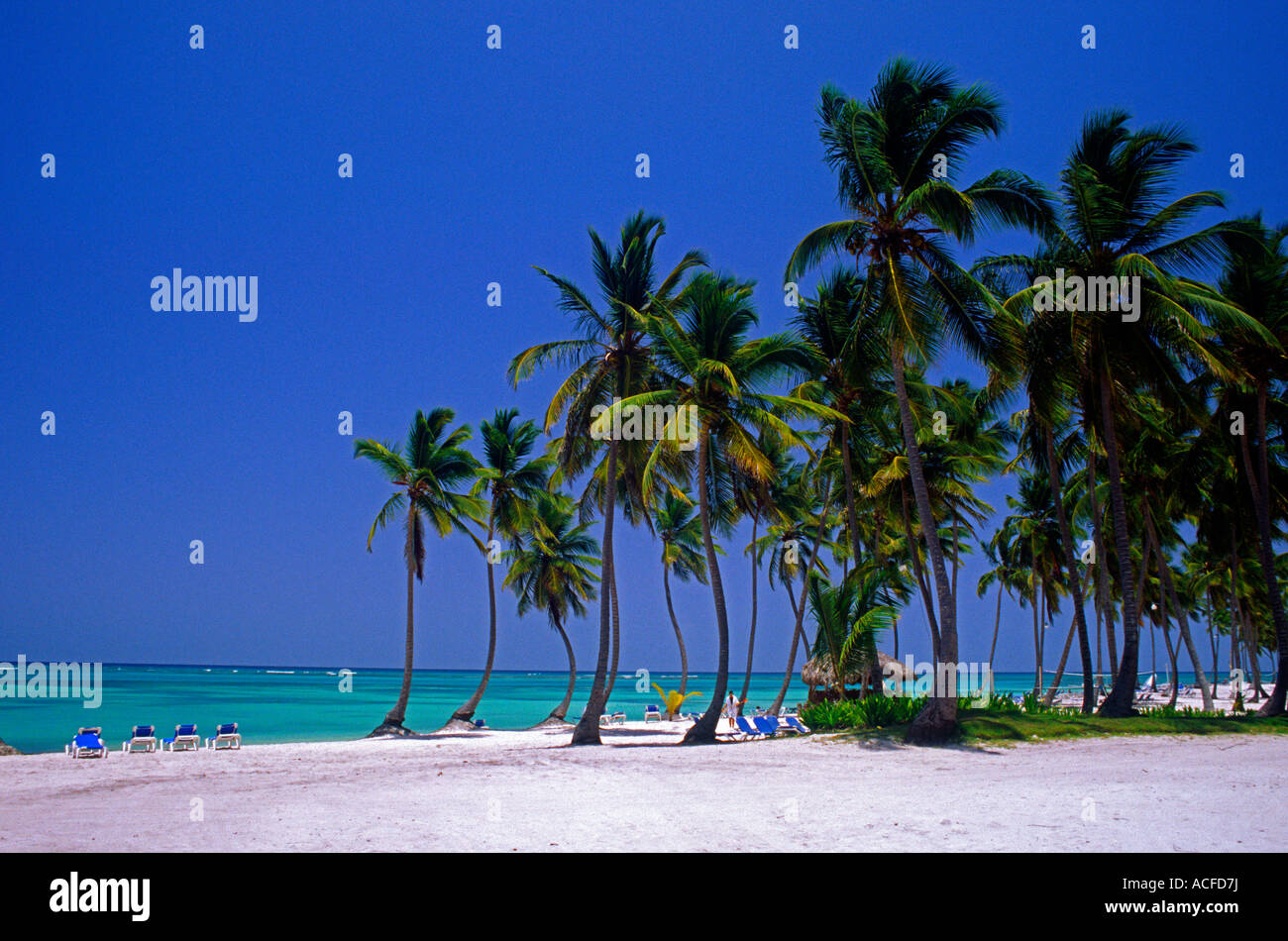 Dominican Republic Punta Cana beach Stock Photo - Alamy