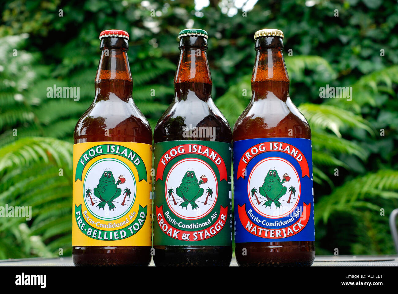 Conditioned bottle hires stock photography and images Alamy