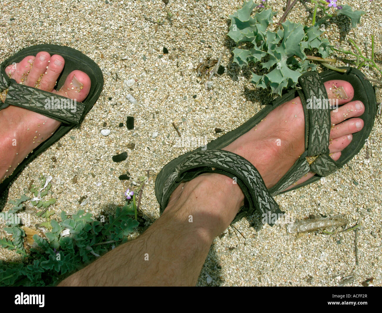 MR walking in the nature legs and feet with tracking sandals in sand Stock Photo