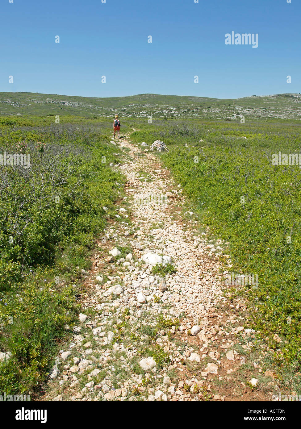 MR middle aged woman making tracking hiking in the nature through dry landscape without trees and shadow Garrique Stock Photo