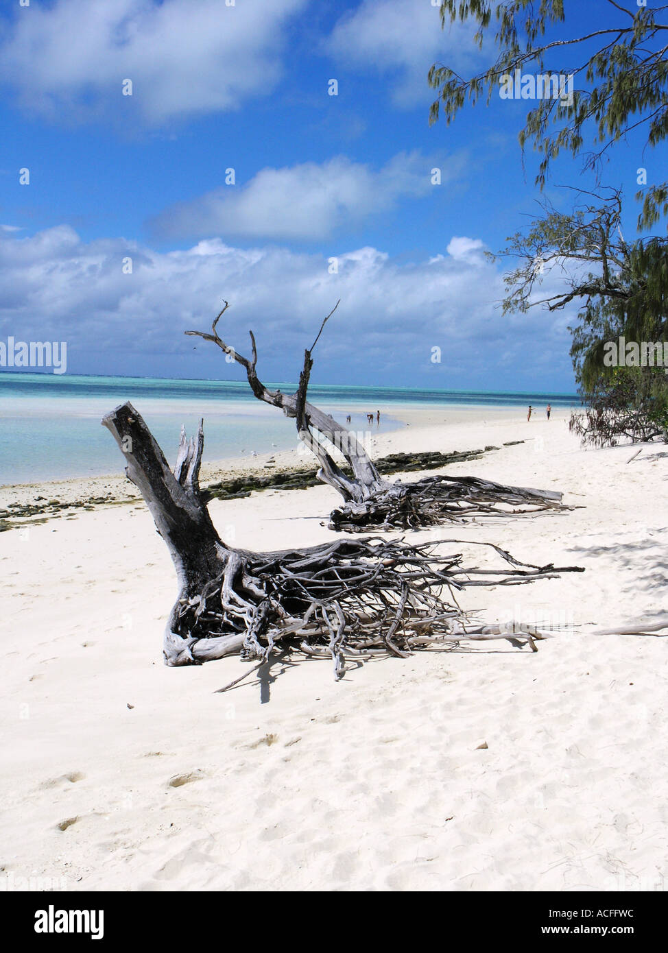Dead Swell High Resolution Stock Photography and Images - Alamy