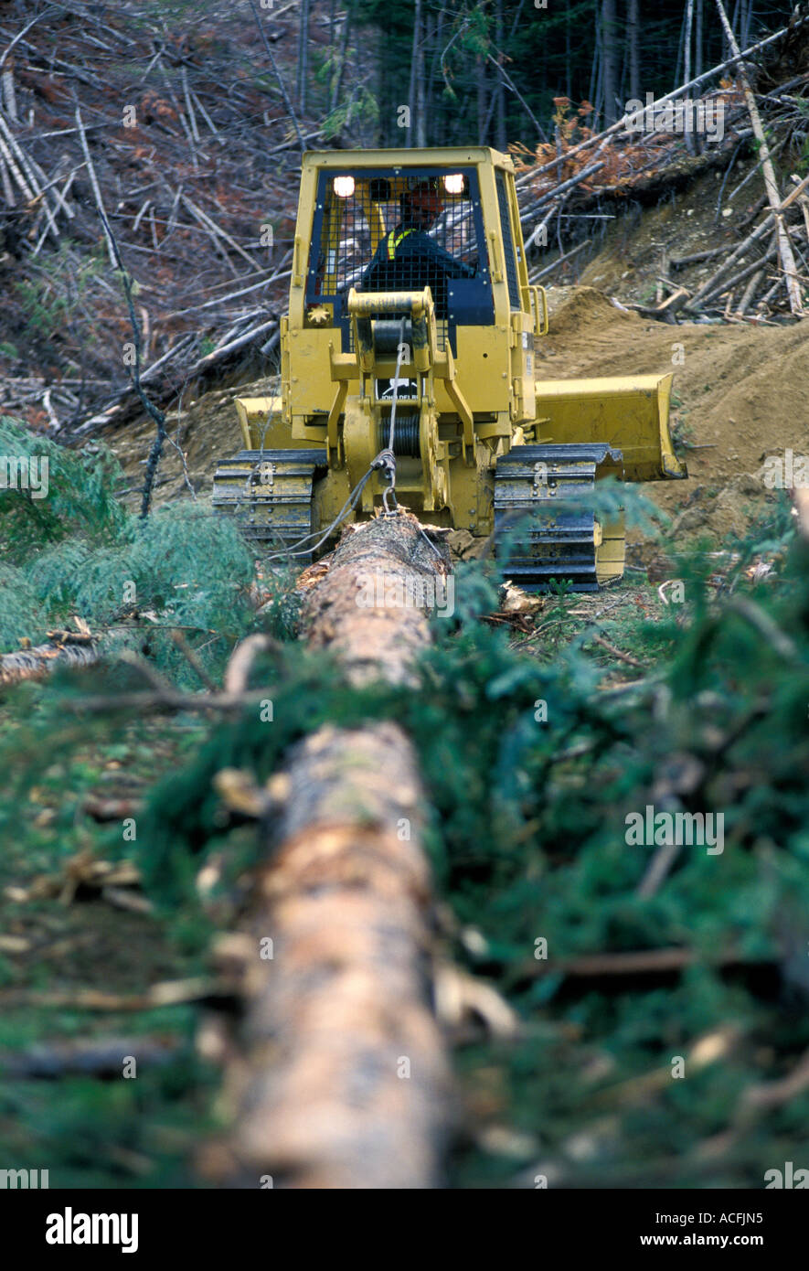 Logging Operations Outside Armstrong, BC, Canada Stock Photo Alamy